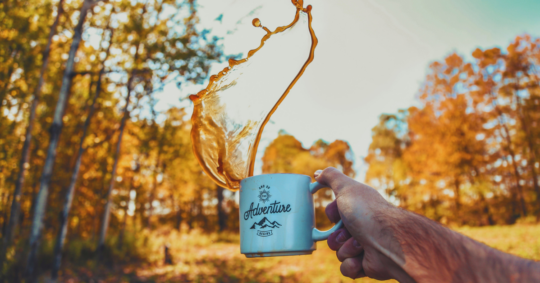 Welcome to Wholesome Nomad: Your Wholesome Living Blog