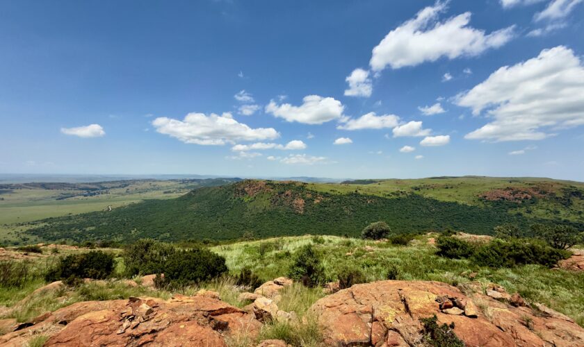 City Escapes: The Best Nature Spots Near Cape Town & Johannesburg